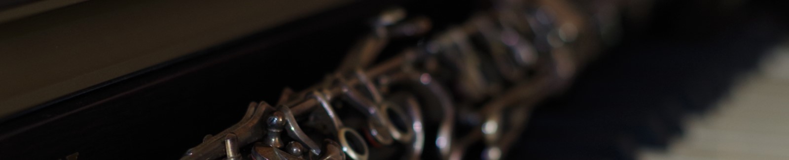 Hampshire music teacher and musician tutor for clarinet saxophone